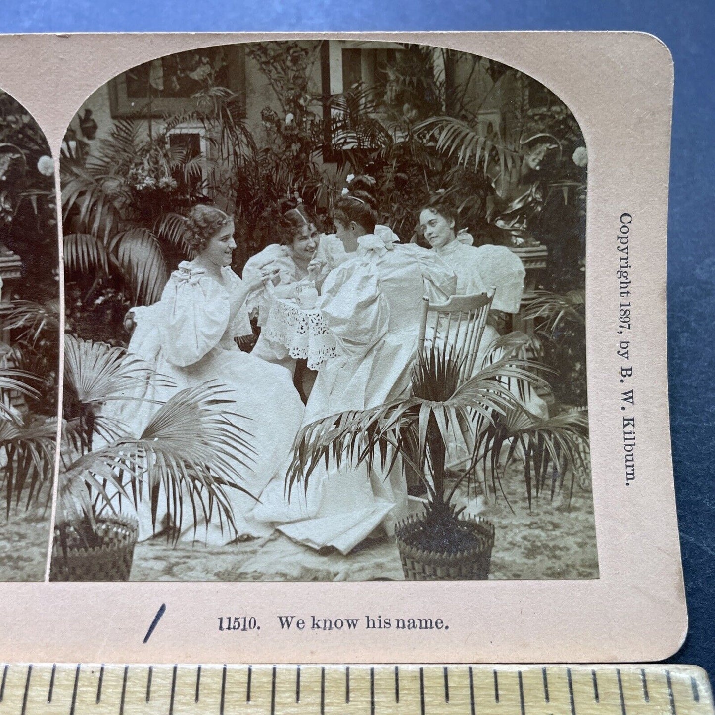 Antique 1897 Wealthy Women Gossip Over High Tea Stereoview Photo Card P1981