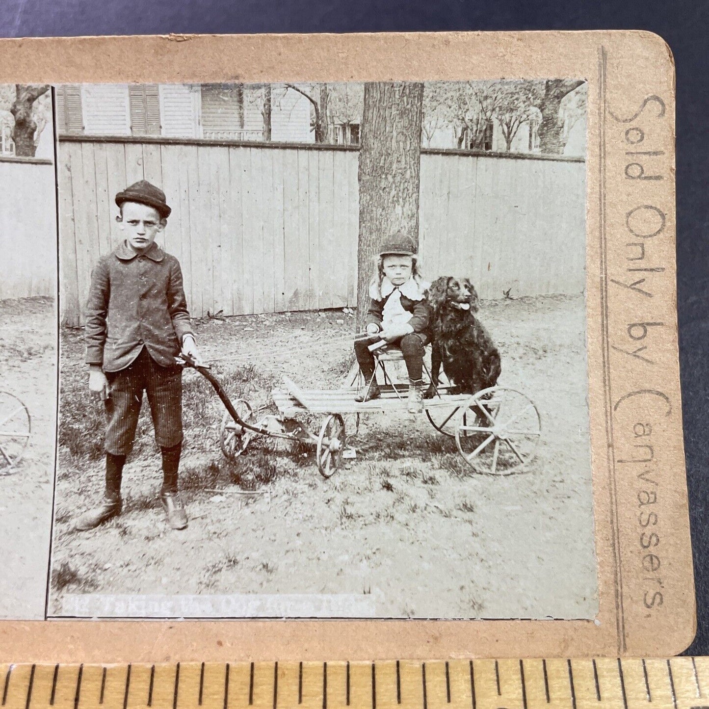 Antique 1870s Boy Pulling A Dog On A Cart Stereoview Photo Card P4043