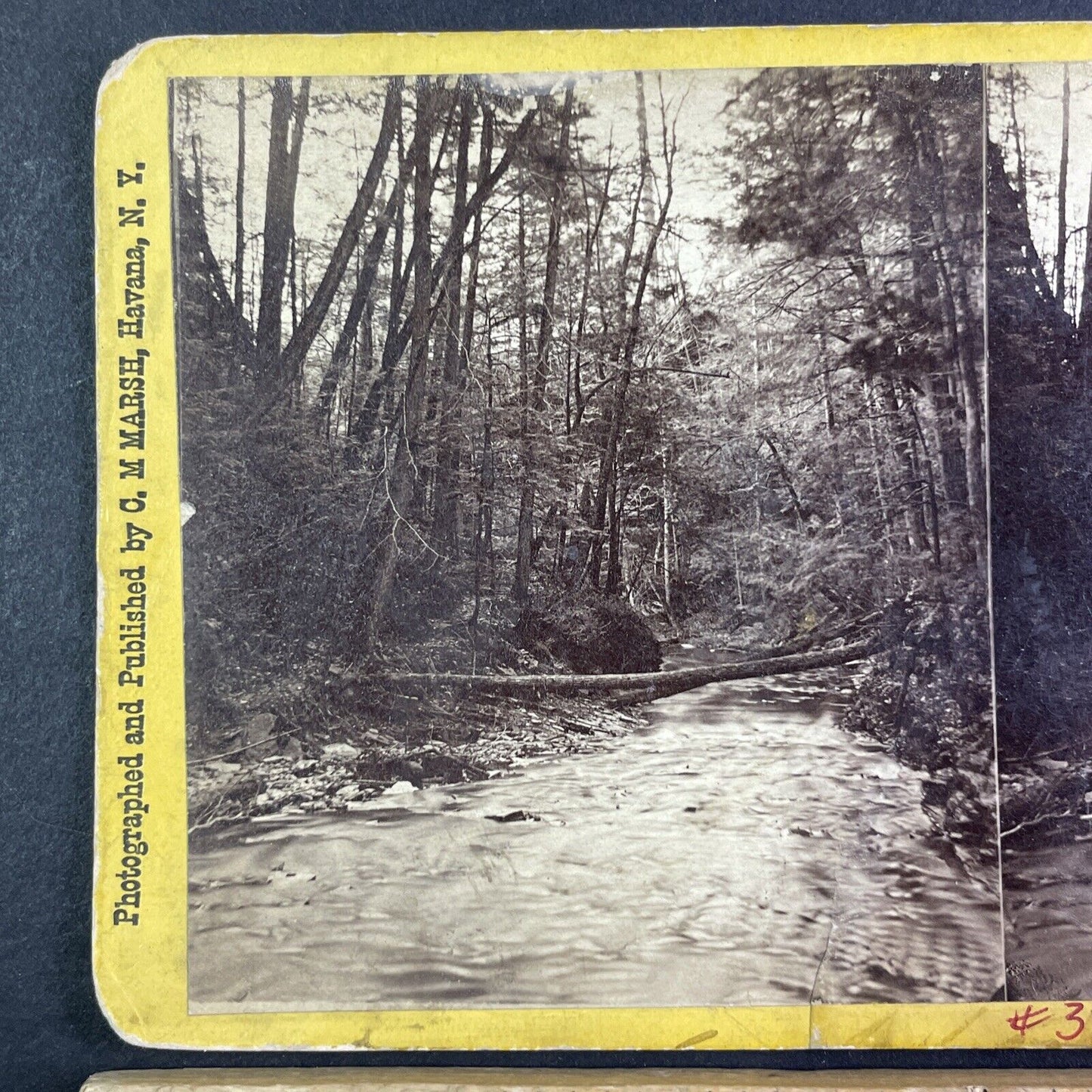 Northern Central Railroad Stereoview Watkins Glen Chaos C.M. Marsh c1870s Y2246