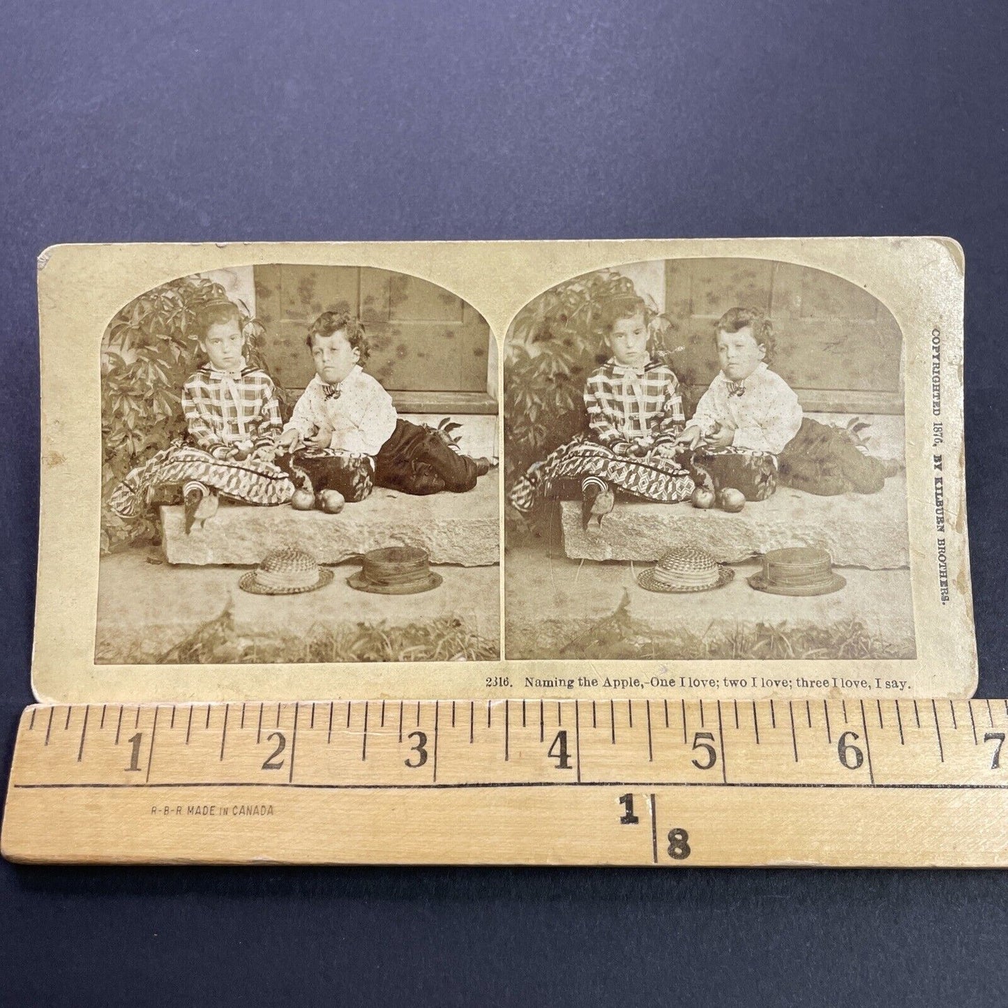 Antique 1876 Children Eating Apples On A Stoop Stereoview Photo Card P3535