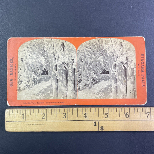 Ferry Grove Tree Stand Niagara Falls Stereoview George Barker c1870s Y2459