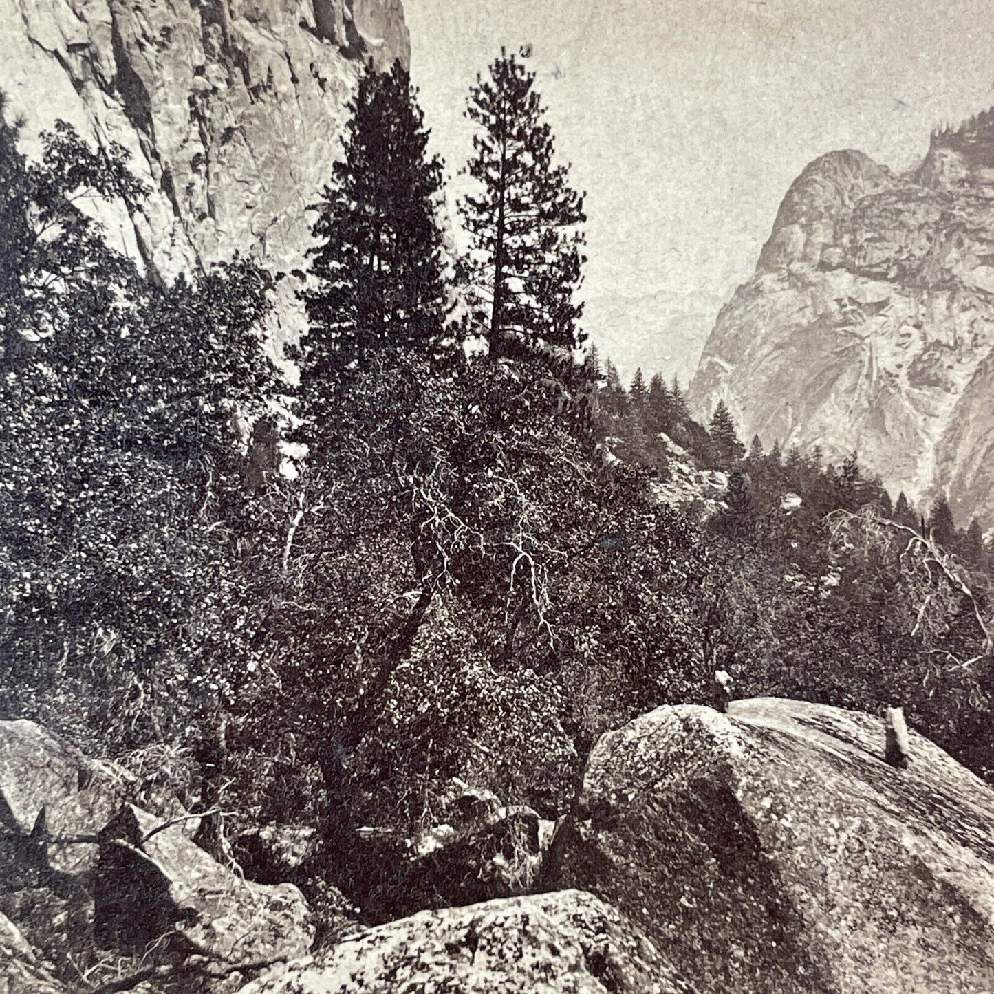 Glories Of Yo-Semite Stereoview South Dome E&HT Anthony Antique c1870 X3710