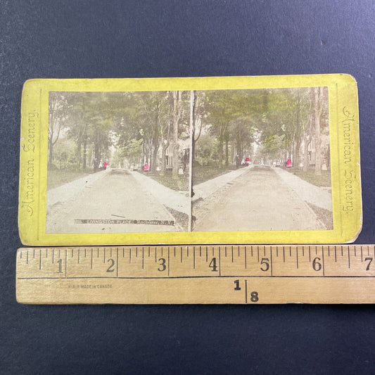 Livingston Park Road Stereoview Rochester NY Photo Card Antique c1875 X989