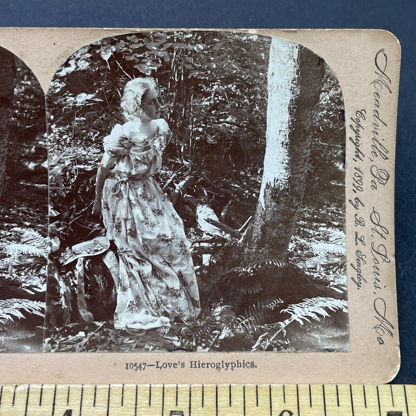 Antique 1899 Woman Sees Her Initials In Tree Stereoview Photo Card P2679