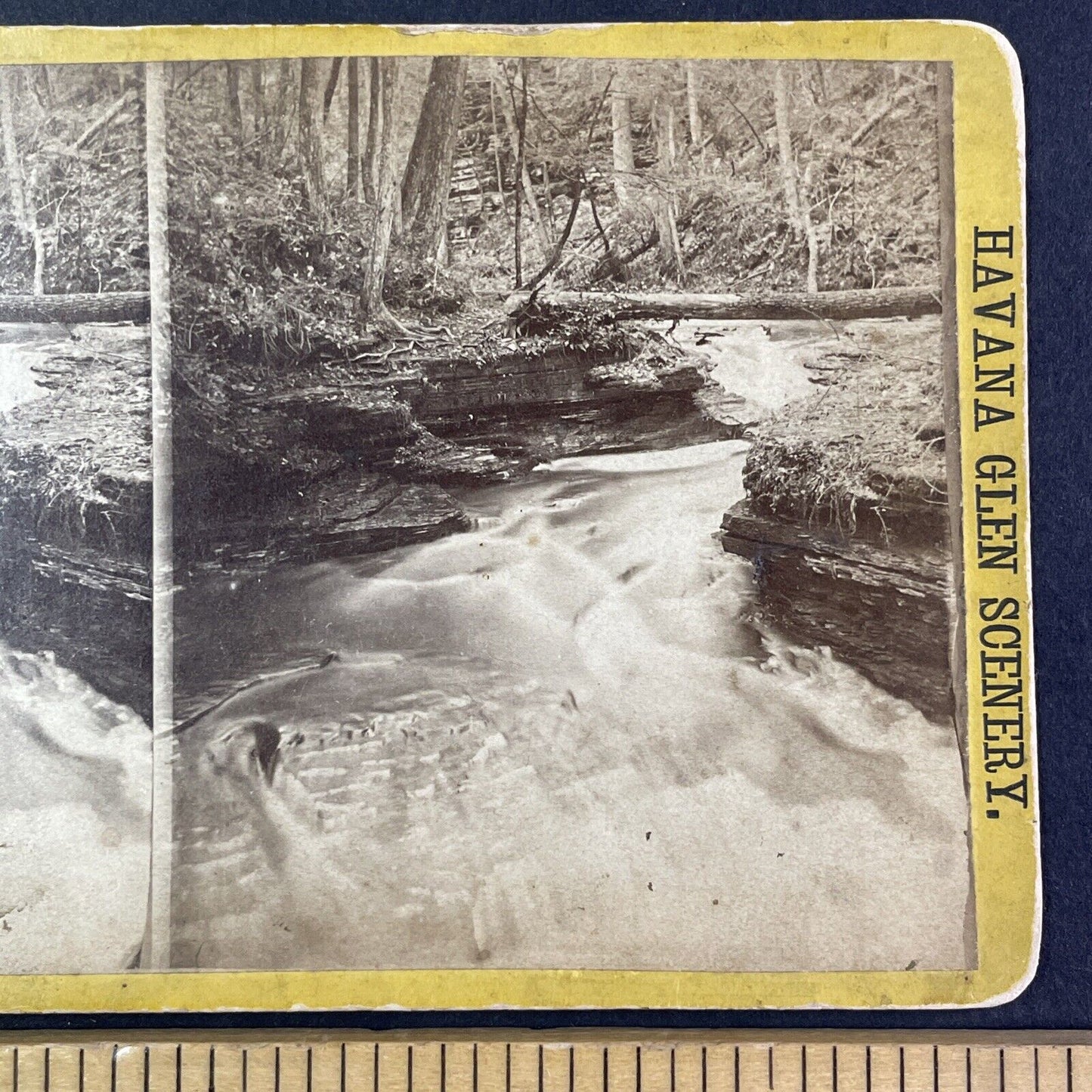 Northern Central Railroad Stereoview Forest Grotto Watkins Glen c1870s Y2175