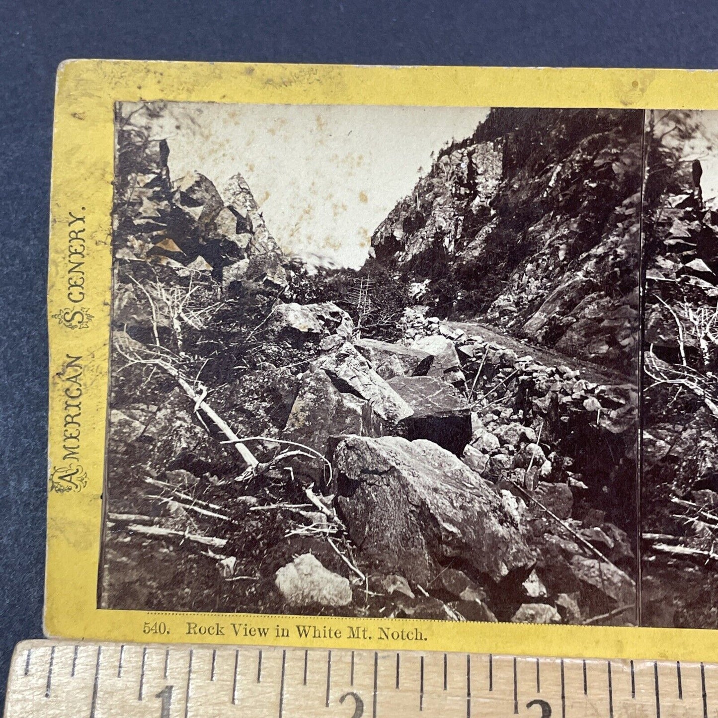 Antique 1870s Logging Road White Mountains NH Stereoview Photo Card V1851