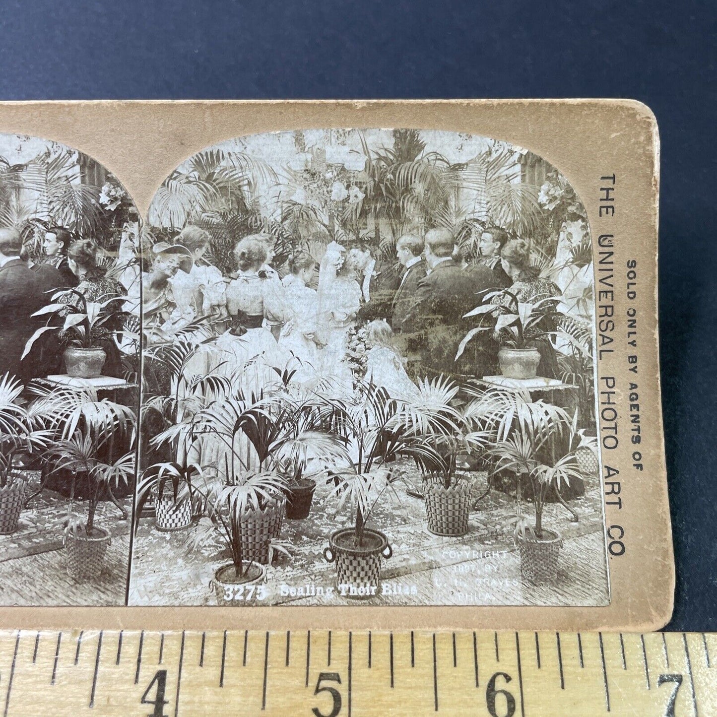 Antique 1897 Victorian Wedding Kiss At Alter Stereoview Photo Card P2985