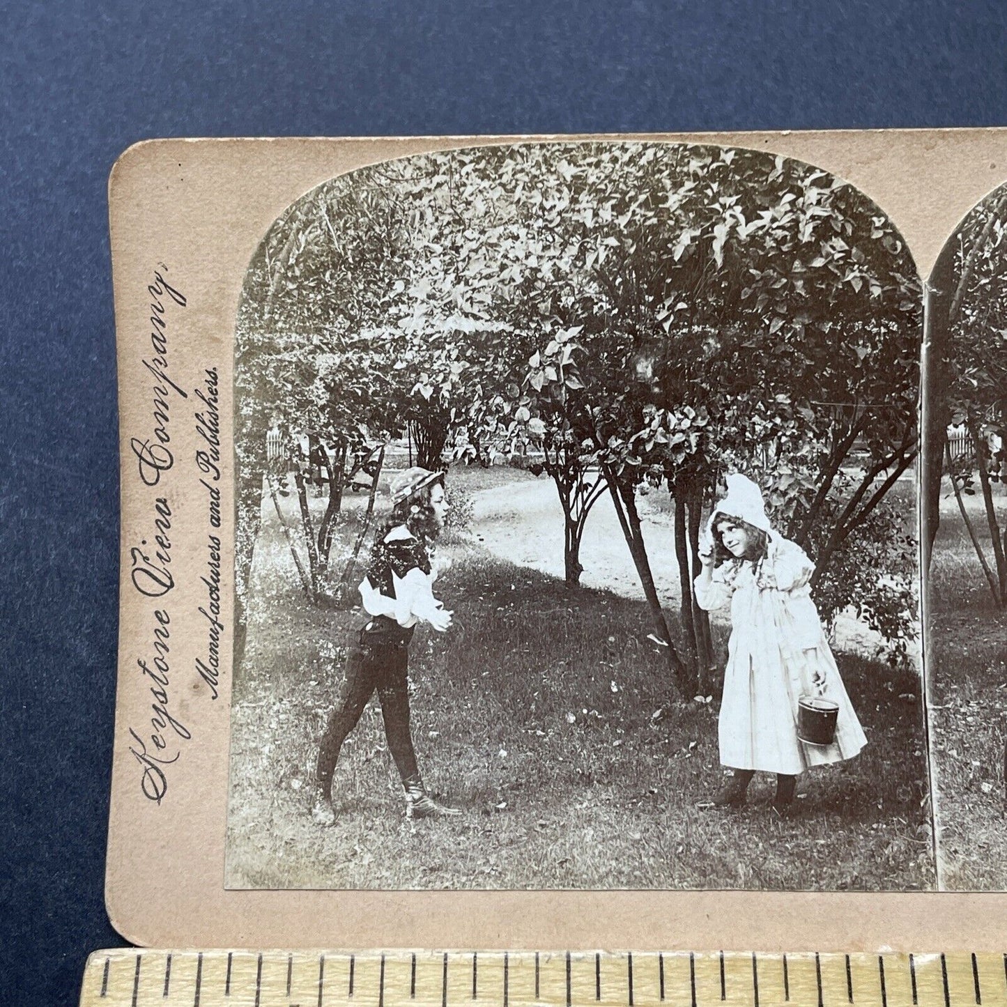 Antique 1893 Boy Throws Cherries At Girl Stereoview Photo Card P2716