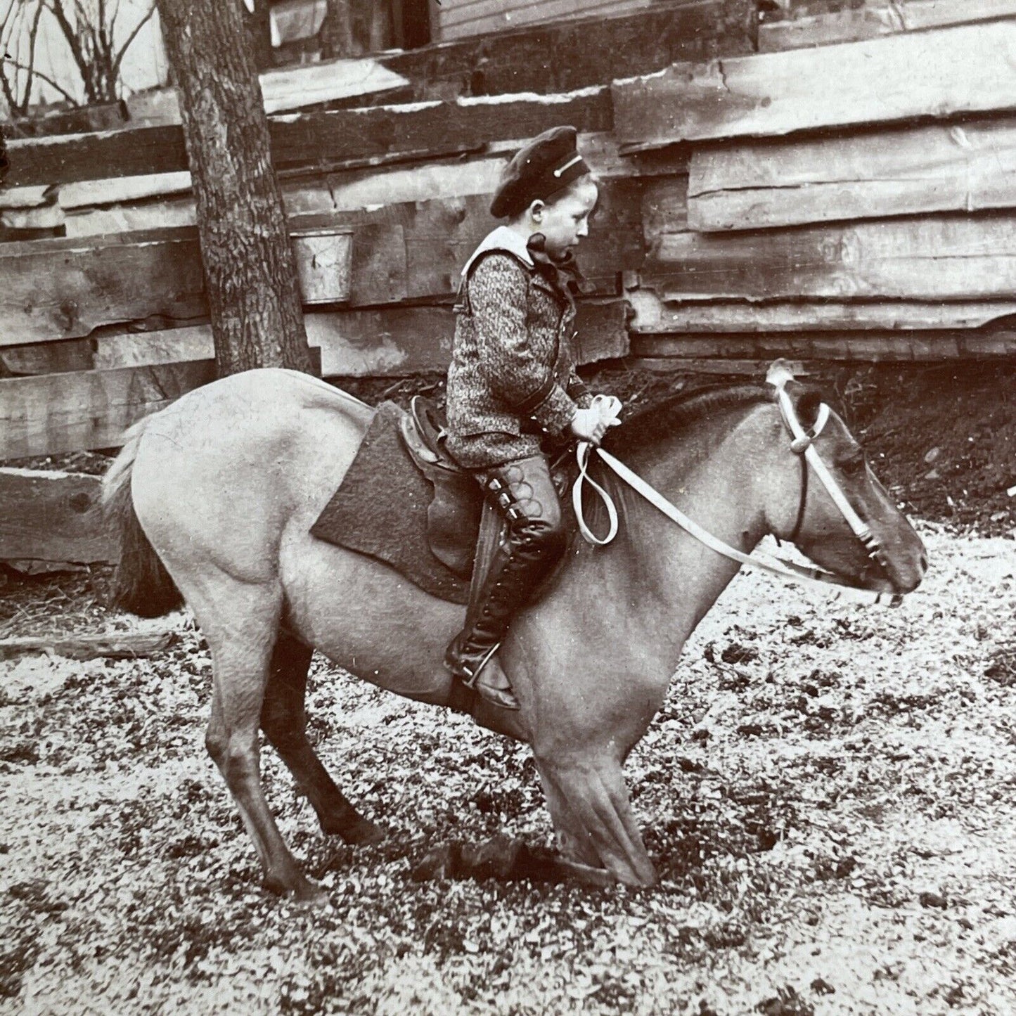Antique 1894 Boy & Pony Dismount Trick  Stereoview Photo Card PC777