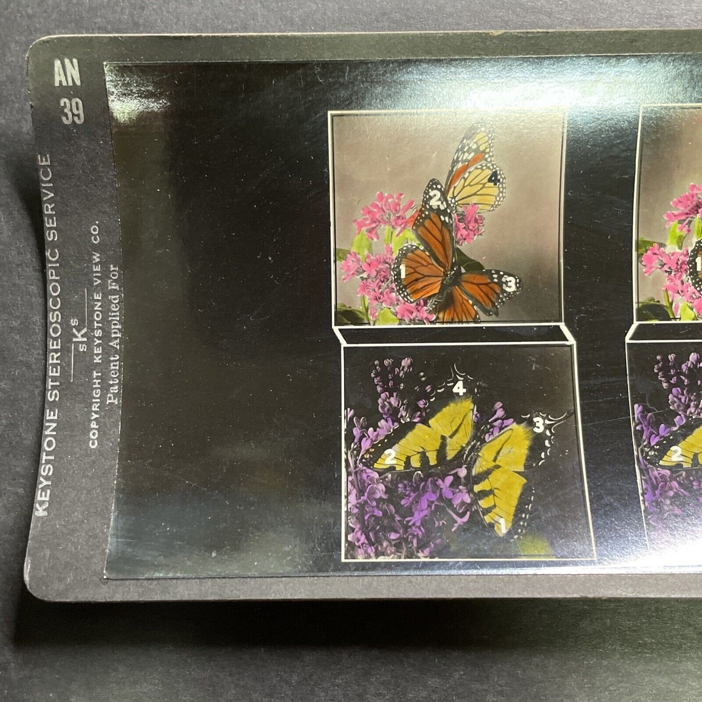 Antique 1920s Eye Training Slide (Butterflies) Stereoview Photo Card P1281