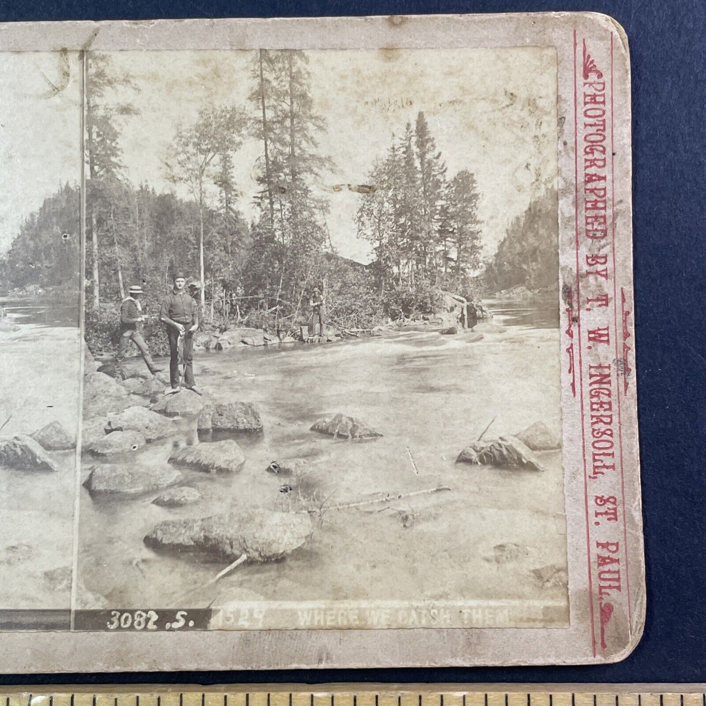 Truman Ward Ingersoll Self-Portrait Stereoview Brule River? Antique c1880s Y041