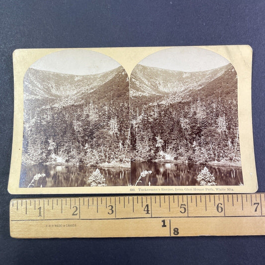 Tuckerman's Ravine New Hampshire Stereoview Antique c1870s Y2162