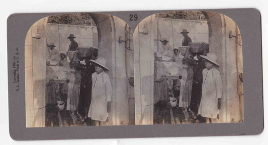 1903 African Americans With A Cotton Harvest Southern USA Stereo Card P385