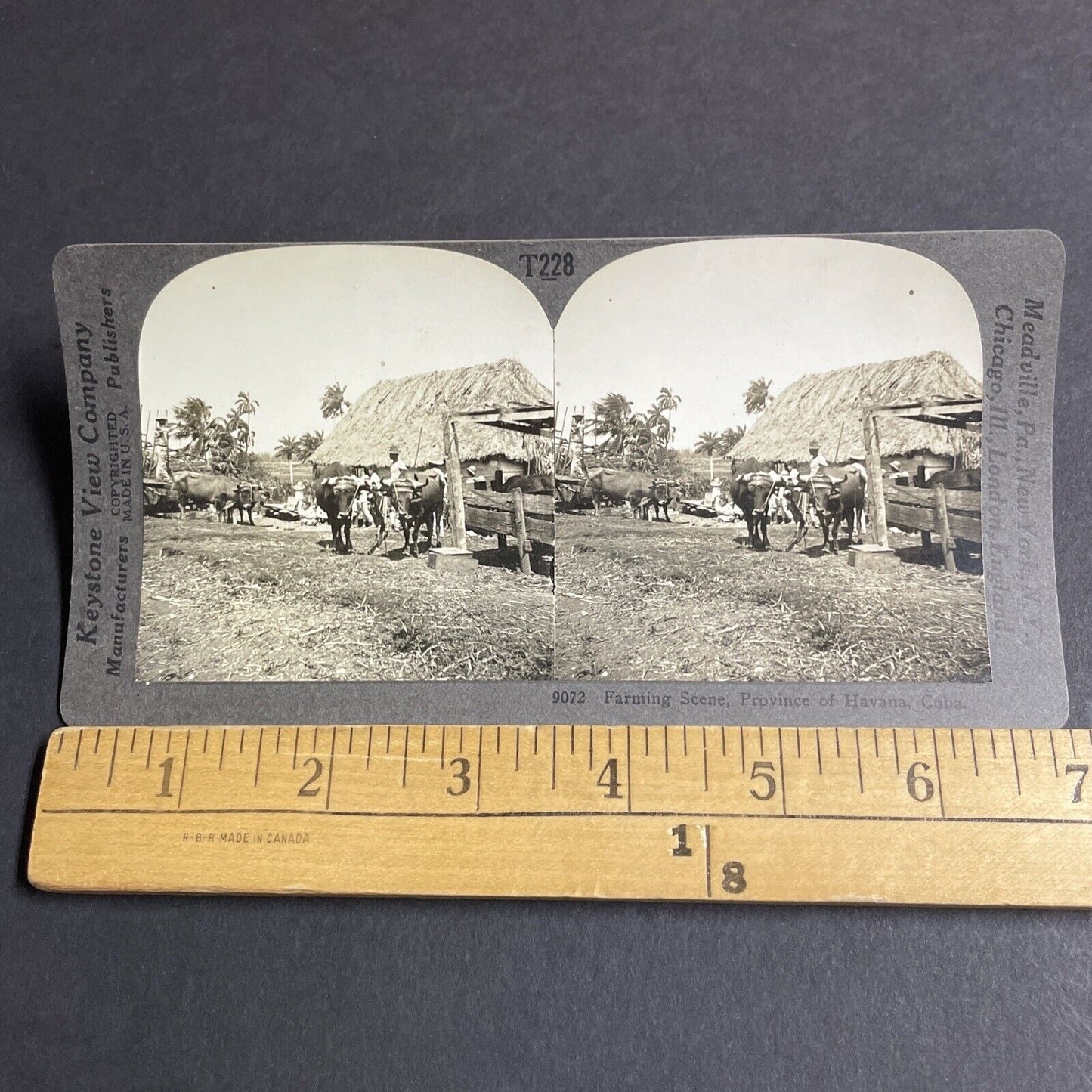 Antique 1910s Farmers Plow Fields Havana Cuba Stereoview Photo Card P4212