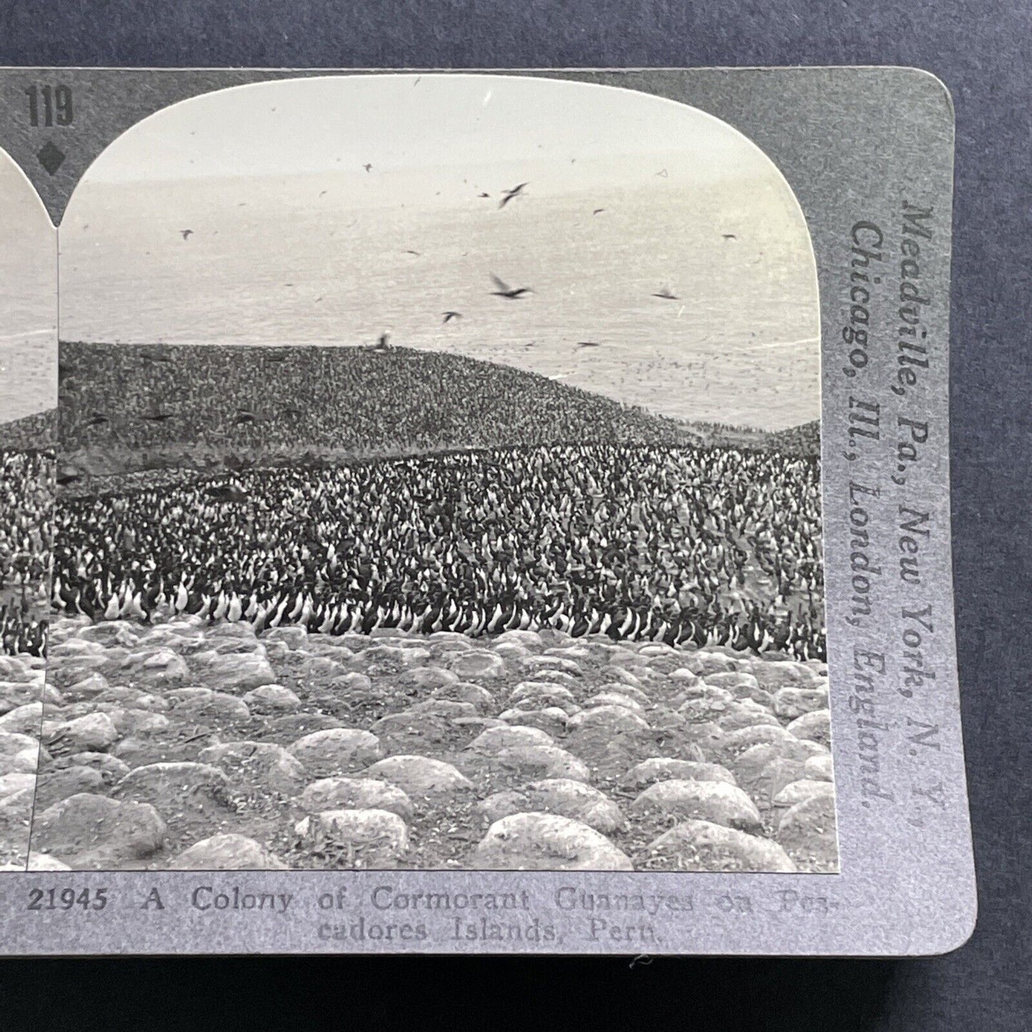 Antique 1918 Pescadores Island Gallinazo Peru Stereoview Photo Card P1565