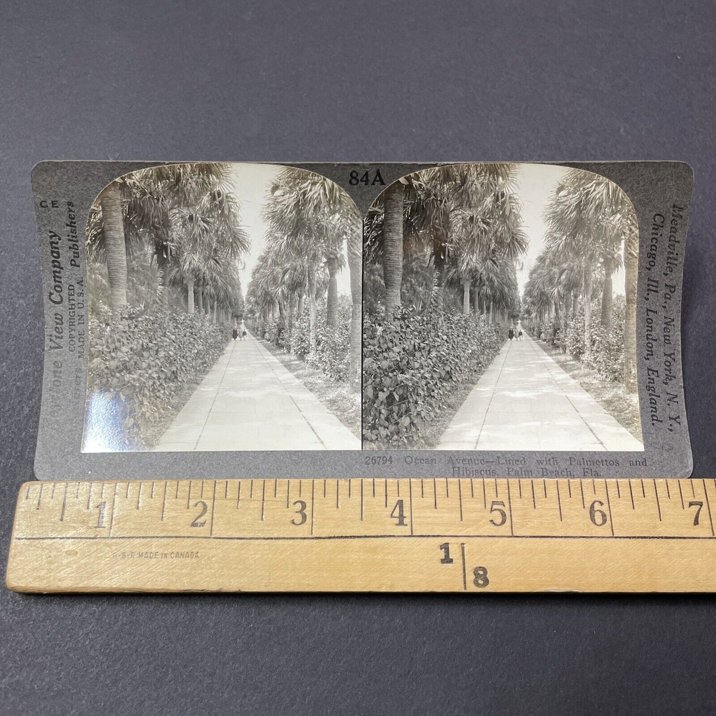 Antique 1910s Ocean Drive Palm Beach Florida Stereoview Photo Card V2174