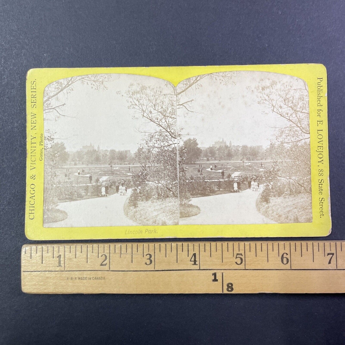 Lincoln Park Chicago Illinois Stereoview E. Lovejoy Antique c1880 Y1812