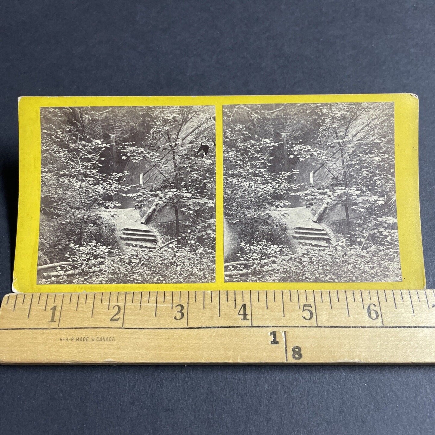Antique 1870s Shanklin Chine Isle Of Wight UK Stereoview Photo Card P4384