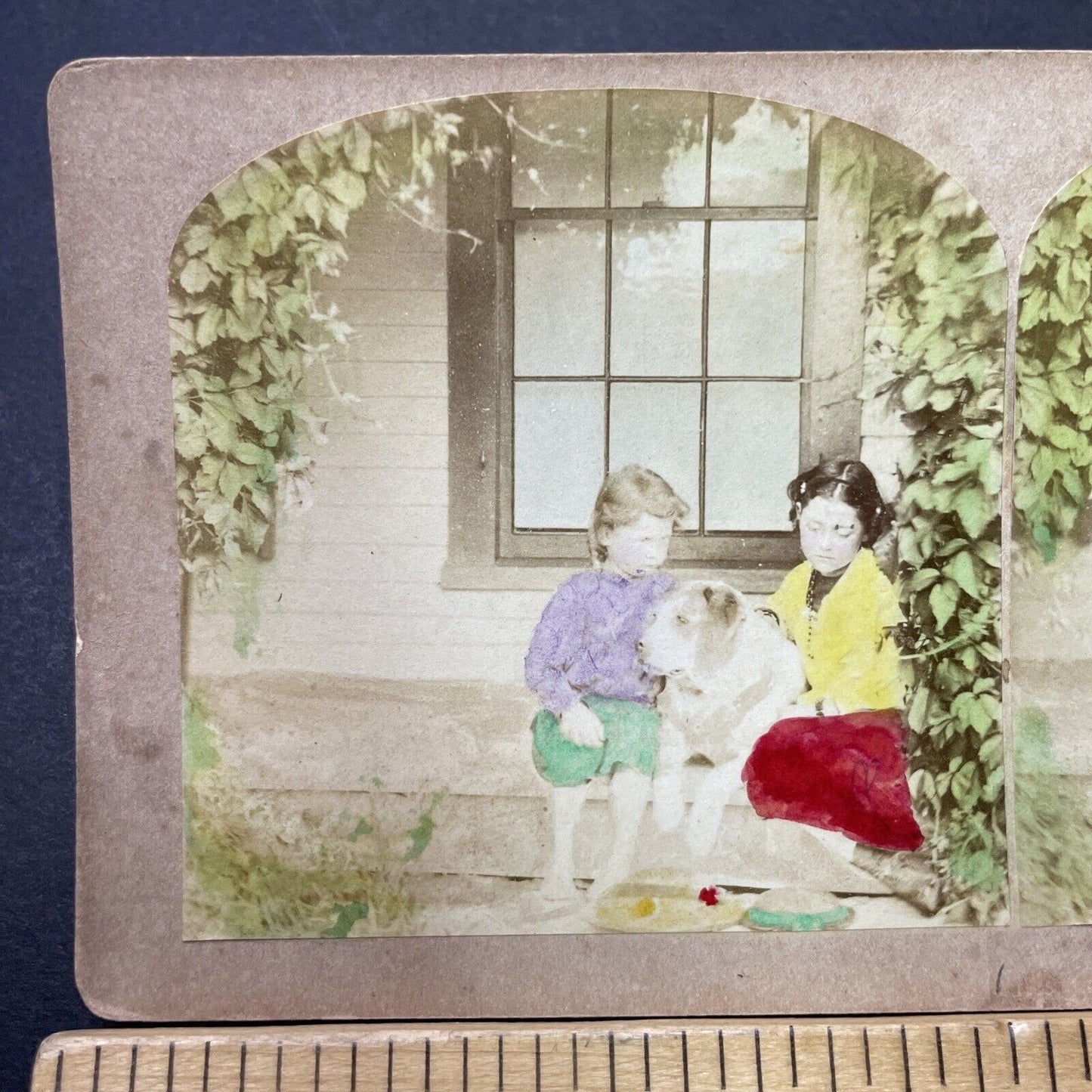 Antique 1870s Little Girls With Their Brittany Dog Stereoview Photo Card P3474