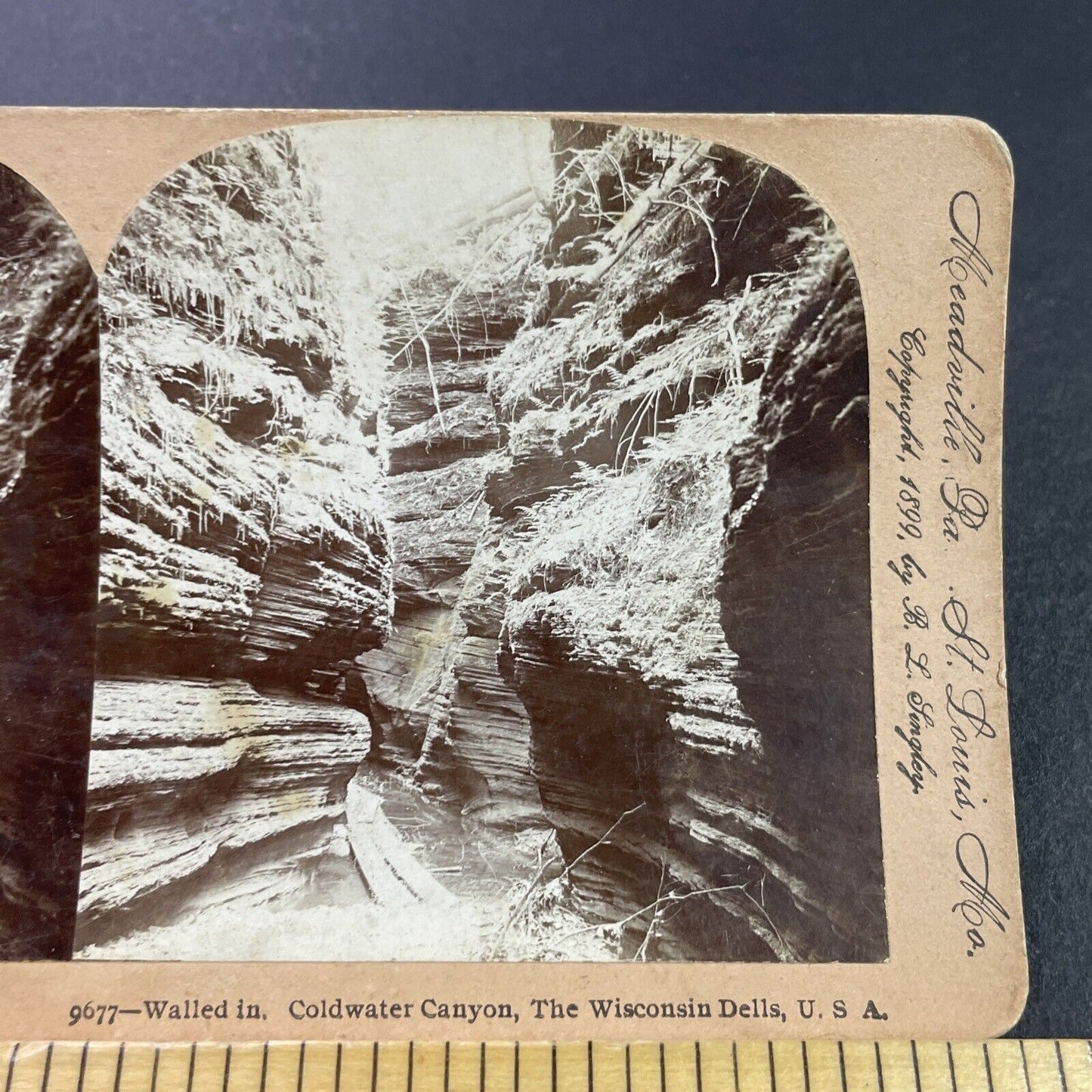 Antique 1899 Wisconsin Dells Canyon Gorge Stereoview Photo Card P3804