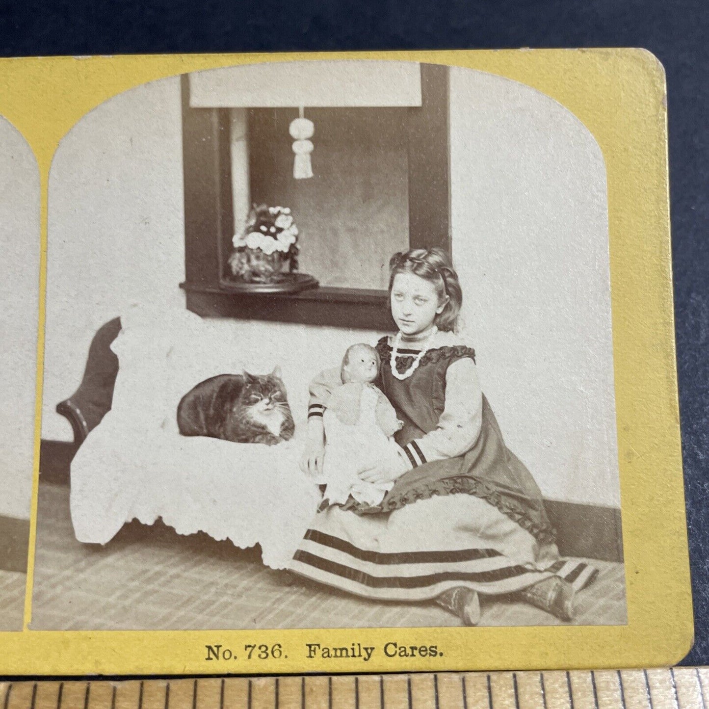 Antique 1870s Wealthy French Girl With Cat & Doll Stereoview Photo Card P4693