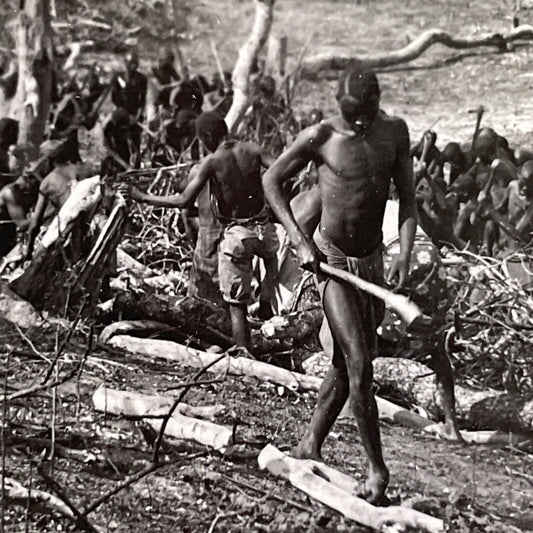 Antique 1919 People In Zimbabwe Clear The Land Stereoview Photo Card P1694