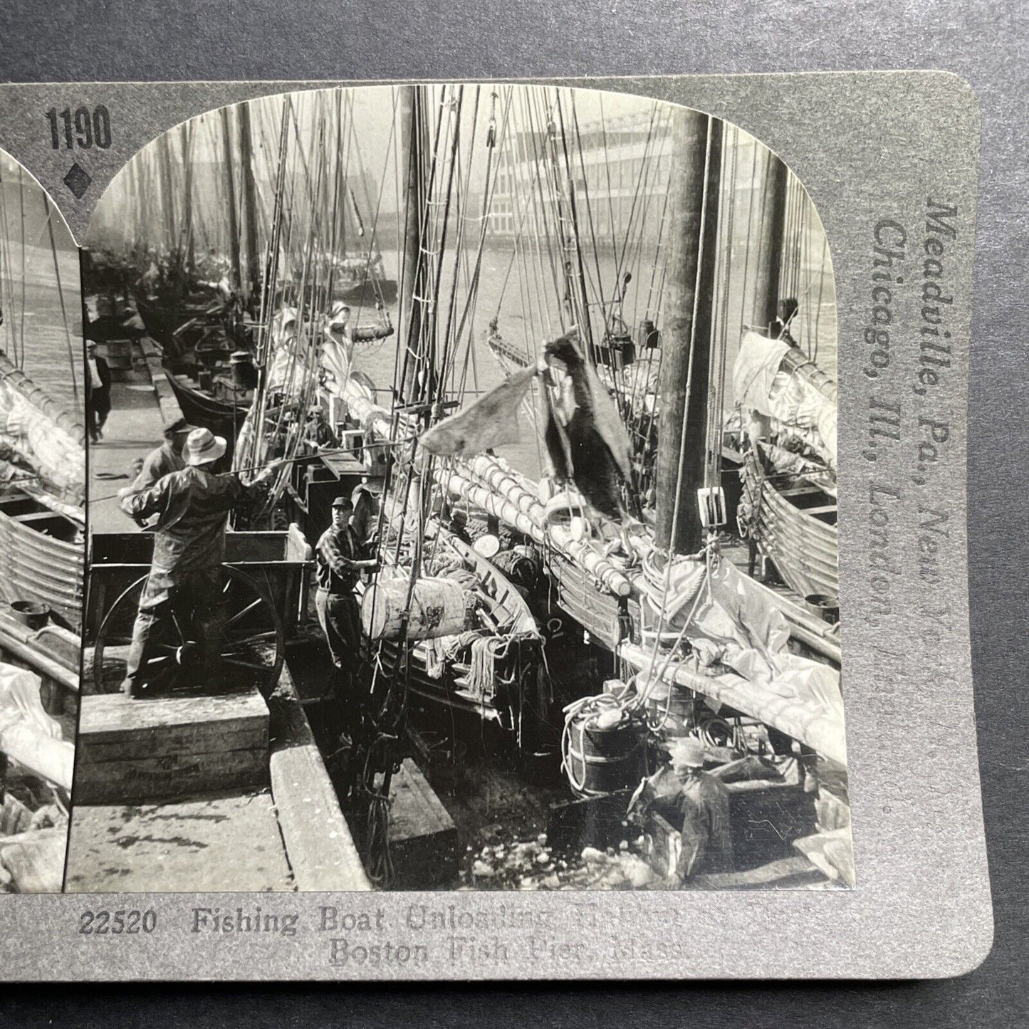 Antique 1918 Unloading Halibut Fish In Boston Harbor Stereoview Photo Card P1313