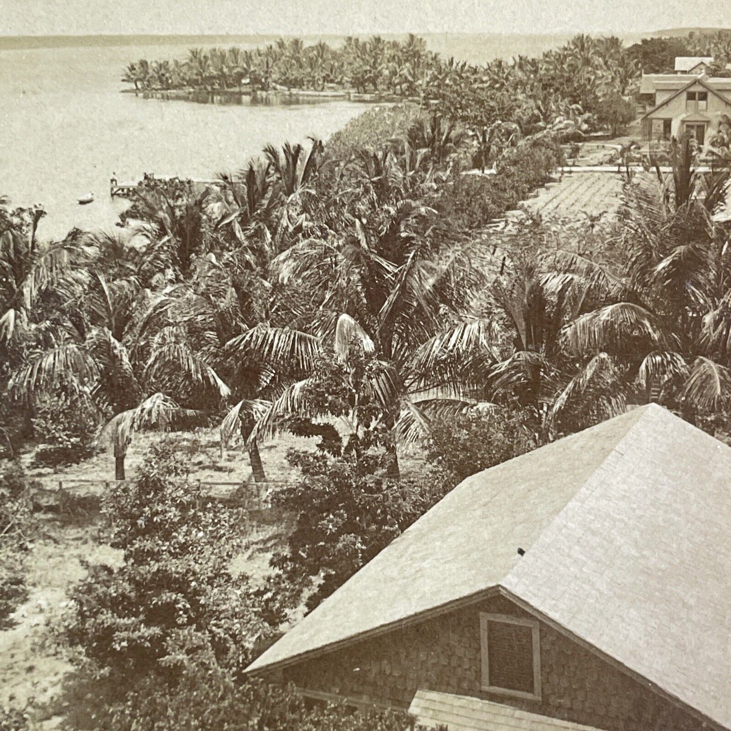 Lake Worth Florida Stereoview George Barker Antique c1891 Y1142