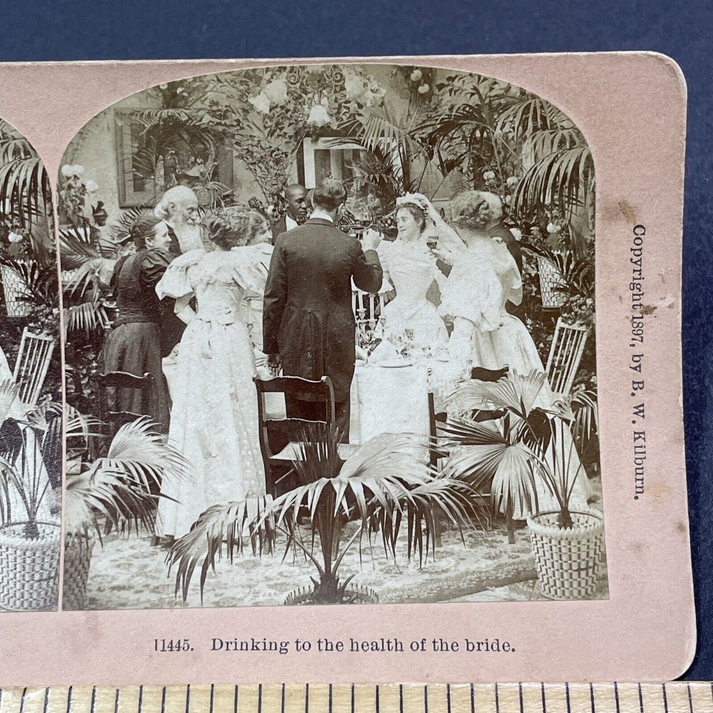 Antique 1897 Bride In A Tight Lacing Wedding Corset Stereoview Photo Card V2041