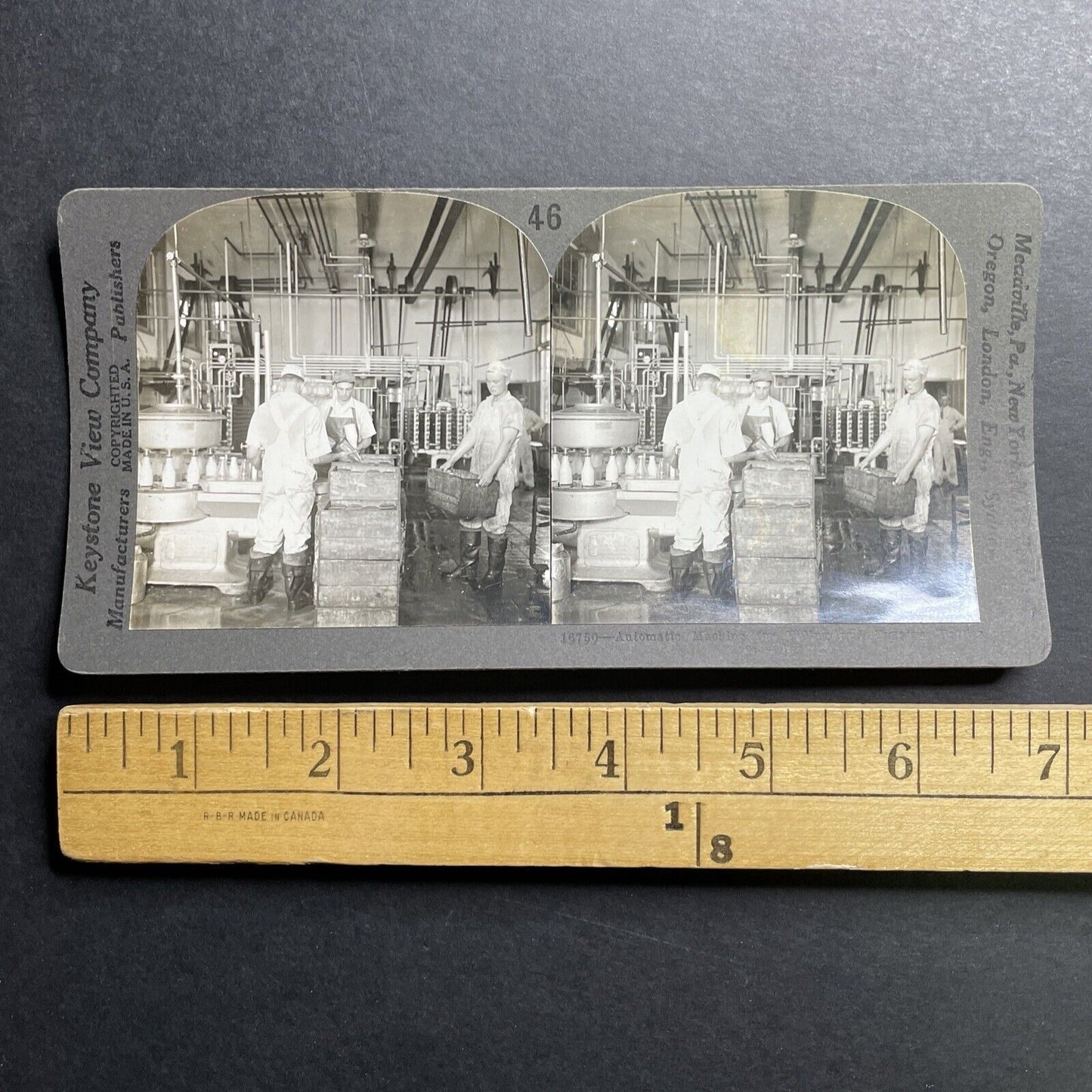Antique 1920 Milk Bottling Factory Cohocton New York Stereoview Photo Card P1512