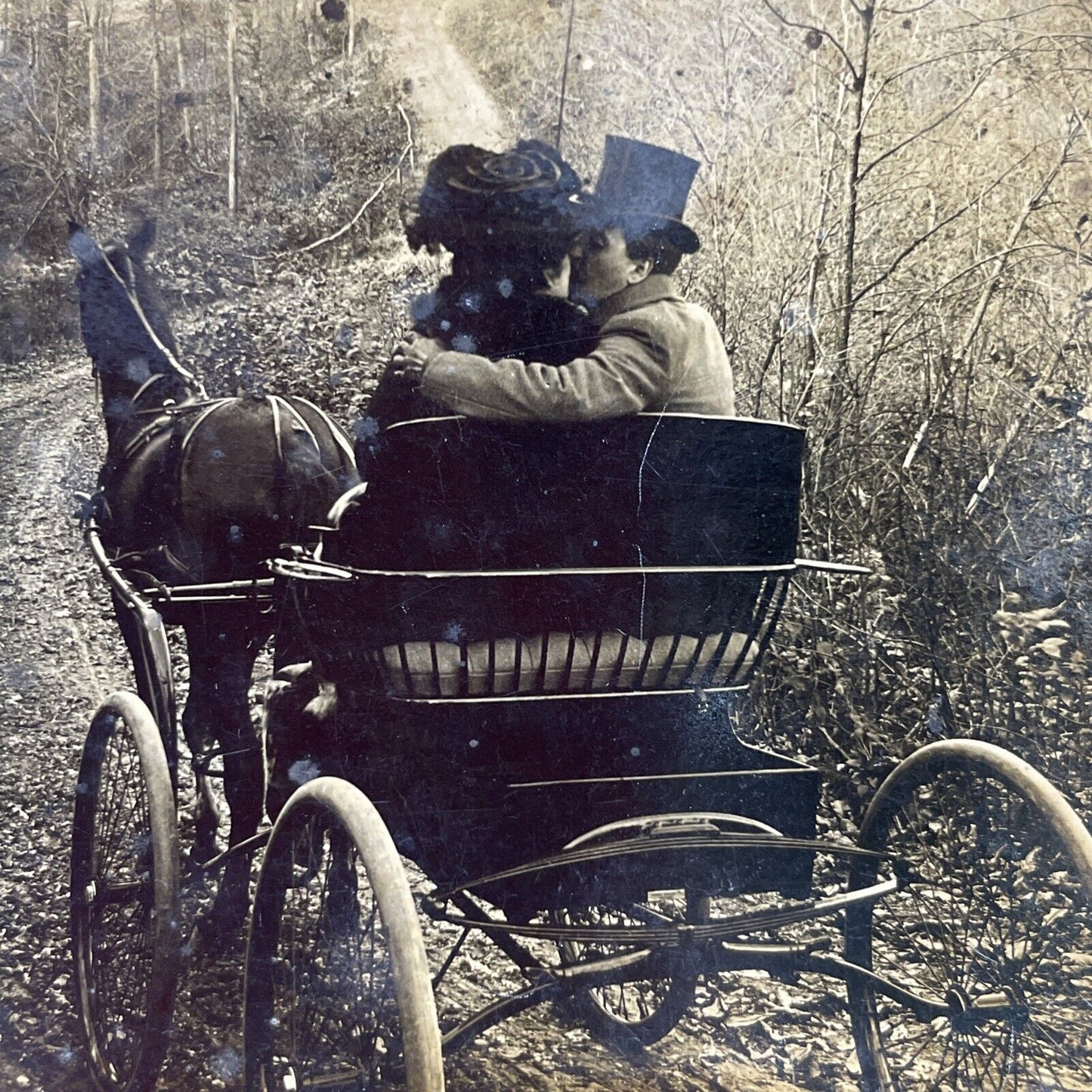 Antique 1901 Man And Woman Cuddle In Buggy Stereoview Photo Card P2657