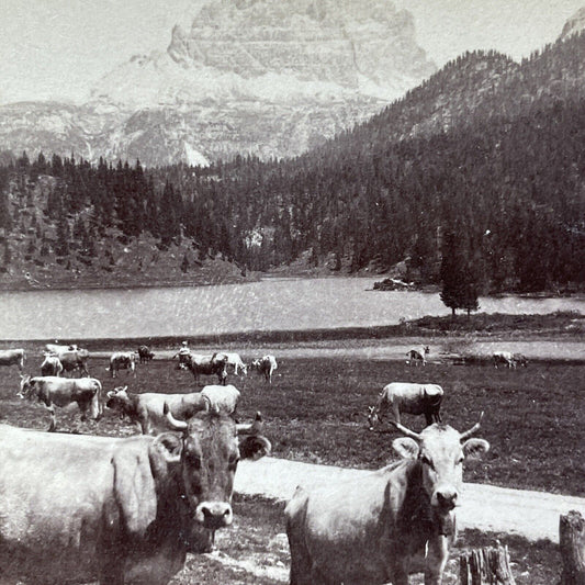 Antique 1898 Lake Misurina Tirol Tyrol Italy Stereoview Photo Card V3259