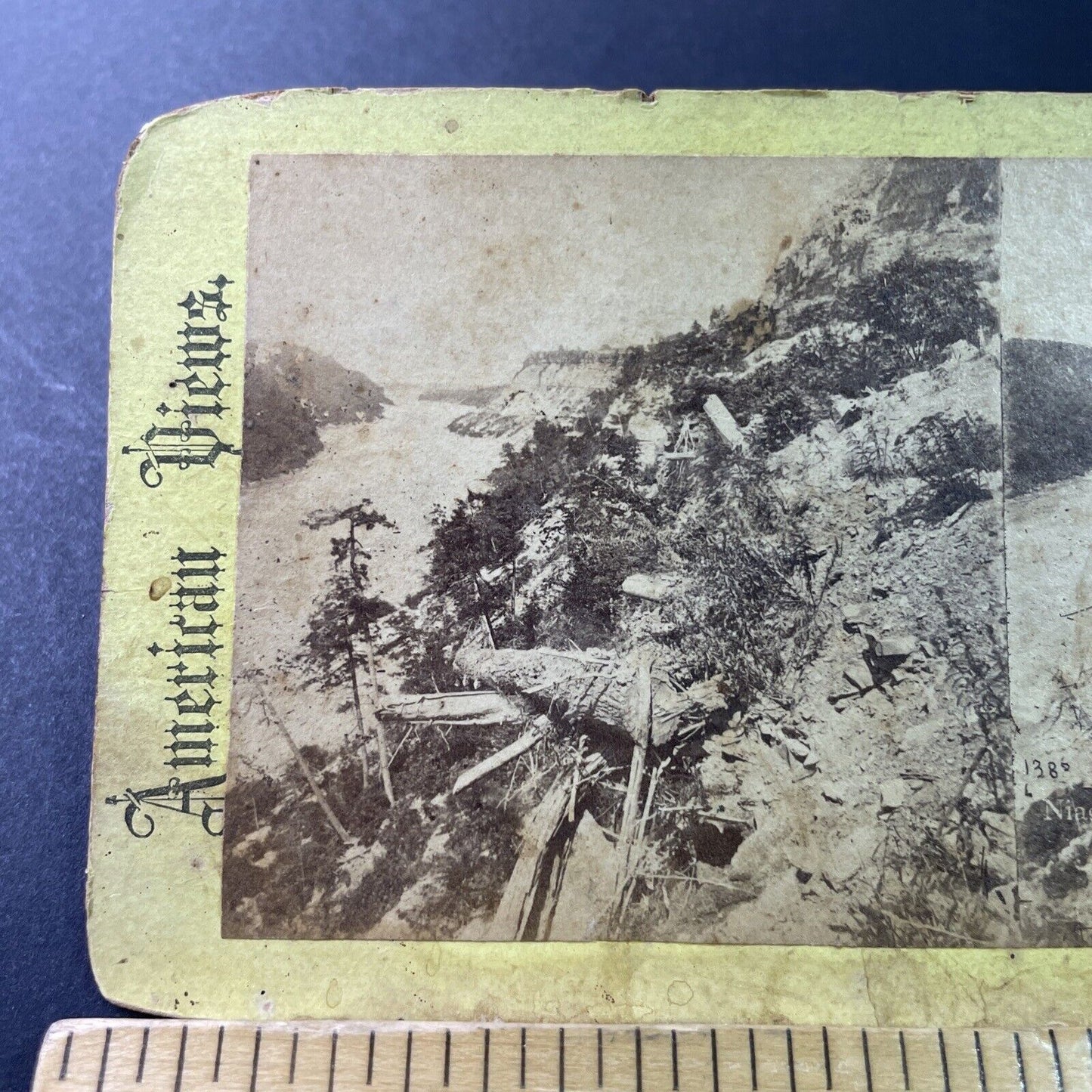 Antique 1870s Niagara Falls Gorge Landside New York  Stereoview Photo Card P3301