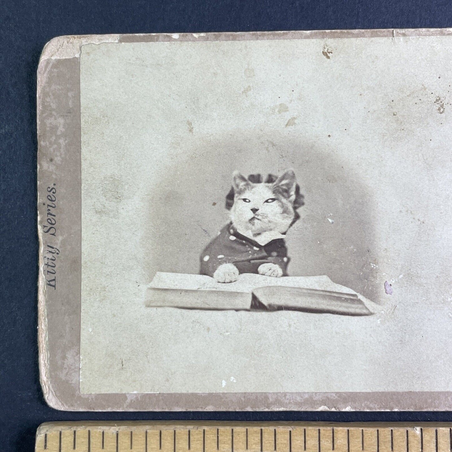 JP Soule's Cat in Pajamas Stereoview John P. Soule Antique c1871 X3866