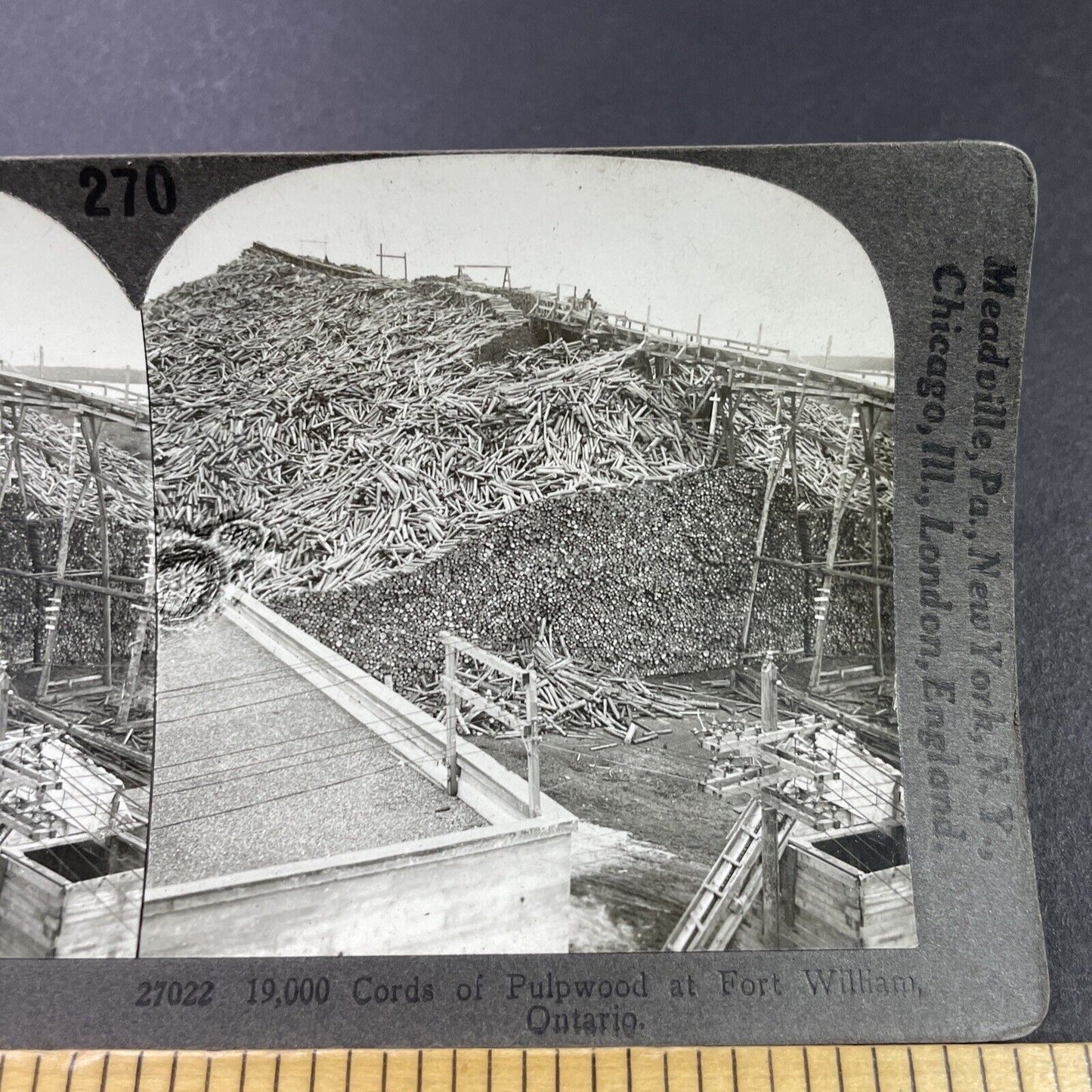 Antique 1910s Logging Camp Thunder Bay Ontario Stereoview Photo Card P3752