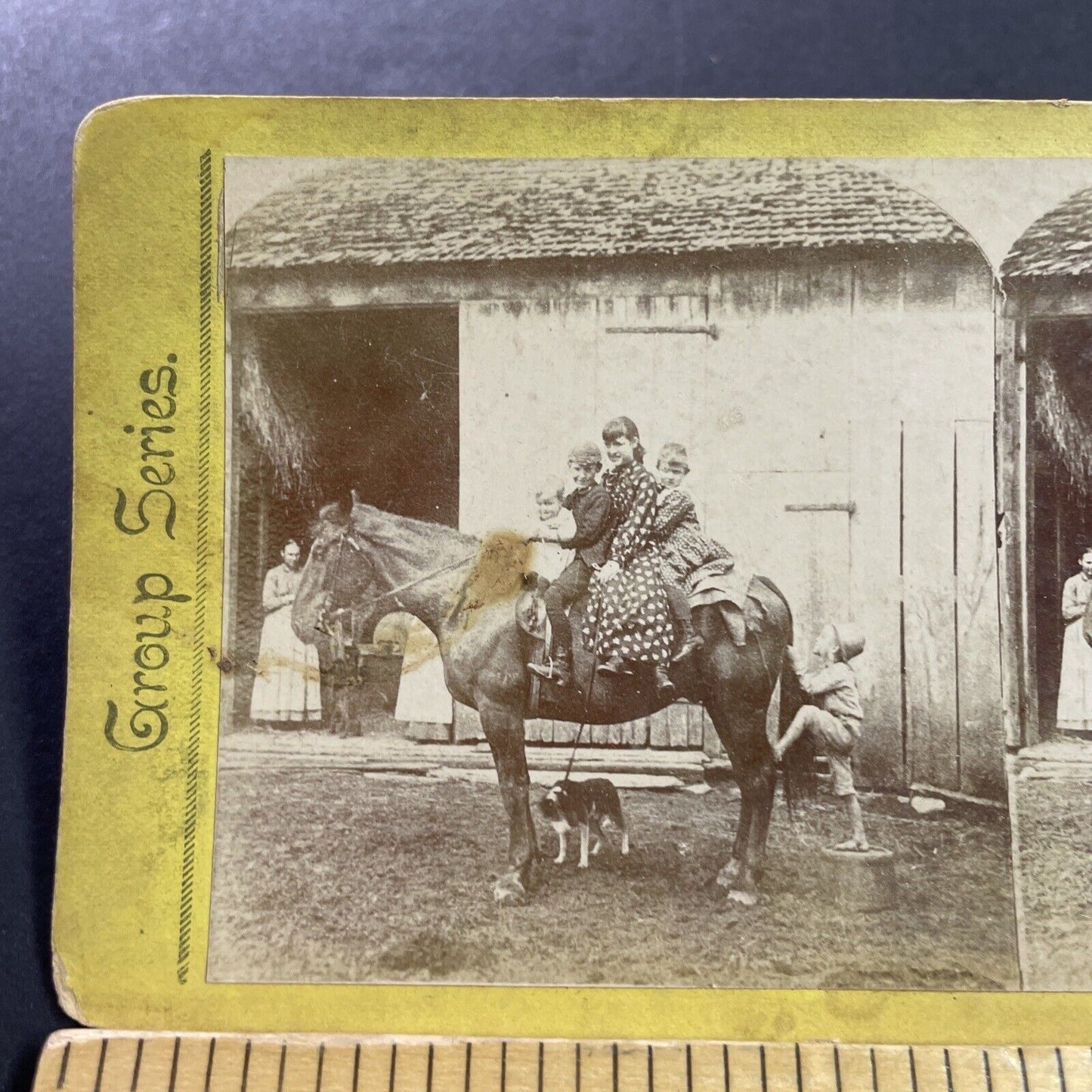 Antique 1870s Four Children Ride A Horse Stereoview Photo Card P4047