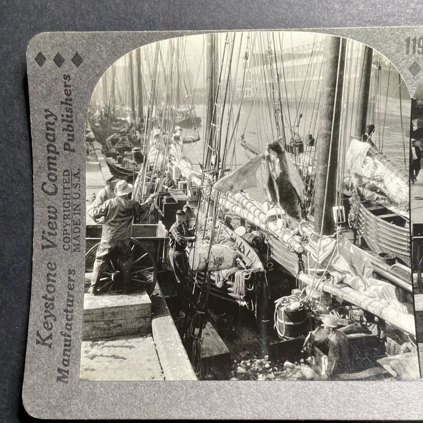 Antique 1918 Unloading Halibut Fish In Boston Harbor Stereoview Photo Card P1313