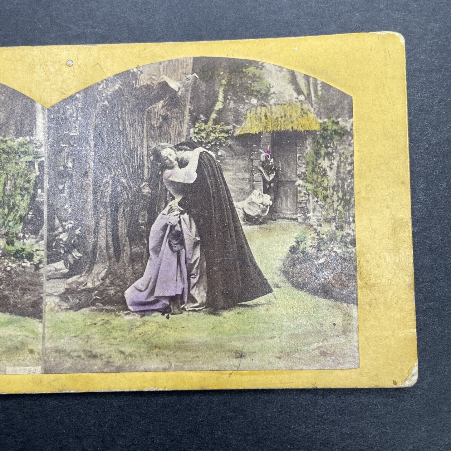 Antique 1860s Man Seduces Woman In Garden Stereoview Photo Card P1154