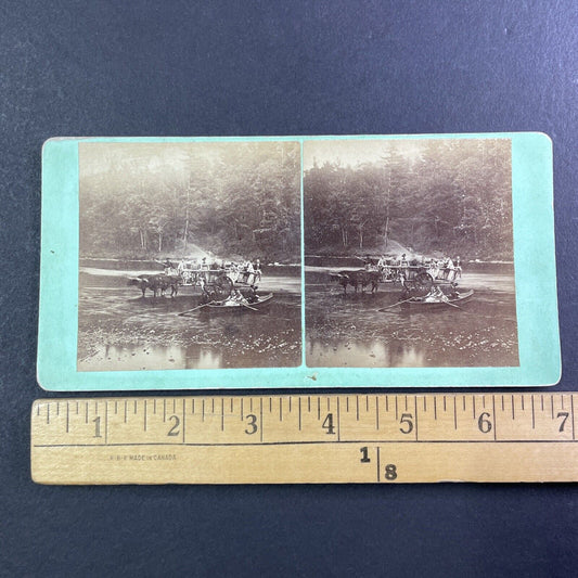 Ox Driven Ferry Campton New Hampshire Stereoview E.J. Young c1870s Y884