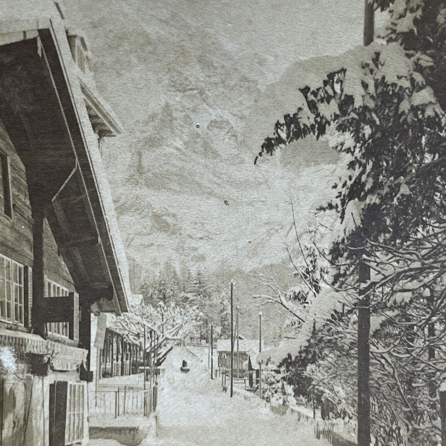 Antique 1901 Downtown Grindelwald Switzerland Stereoview Photo Card P1835