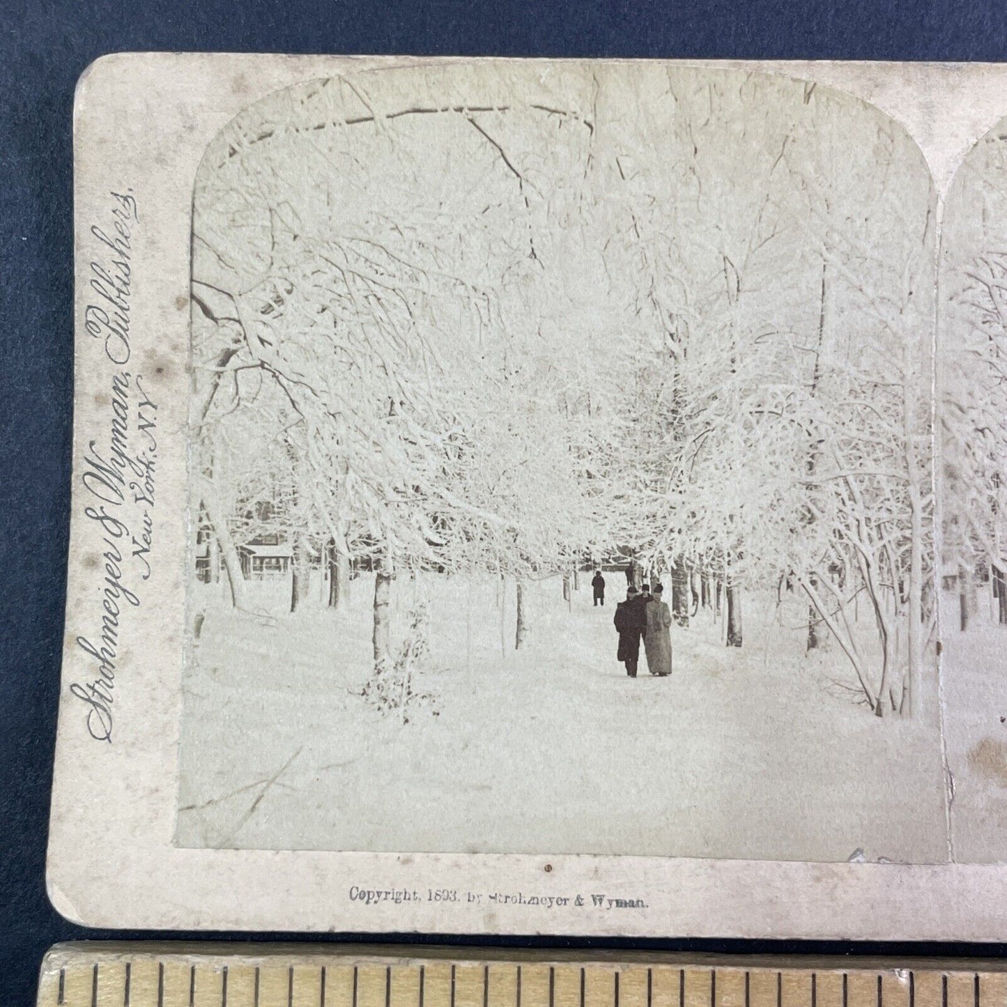 Winter Walk Through Prospect Park Stereoview Niagara Falls Antique c1893 Y2752