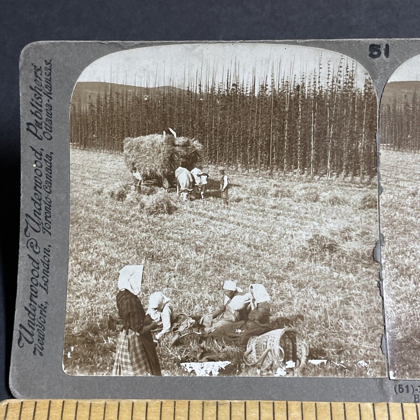 Antique 1900 Traditional Bavarian Women Farmers Stereoview Photo Card P4471