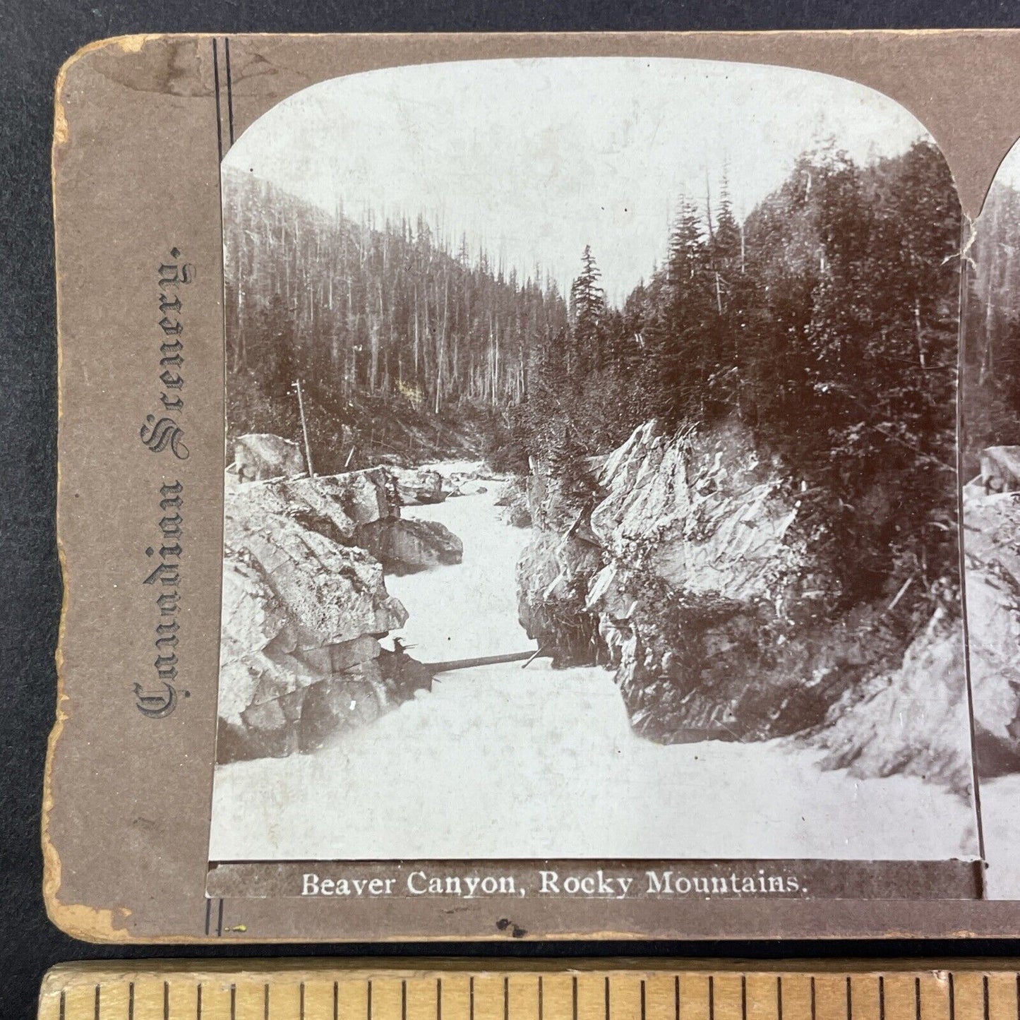 Beaver Canyon Gorge British Columbia Stereoview CPR Rail Views c1890s Y2119