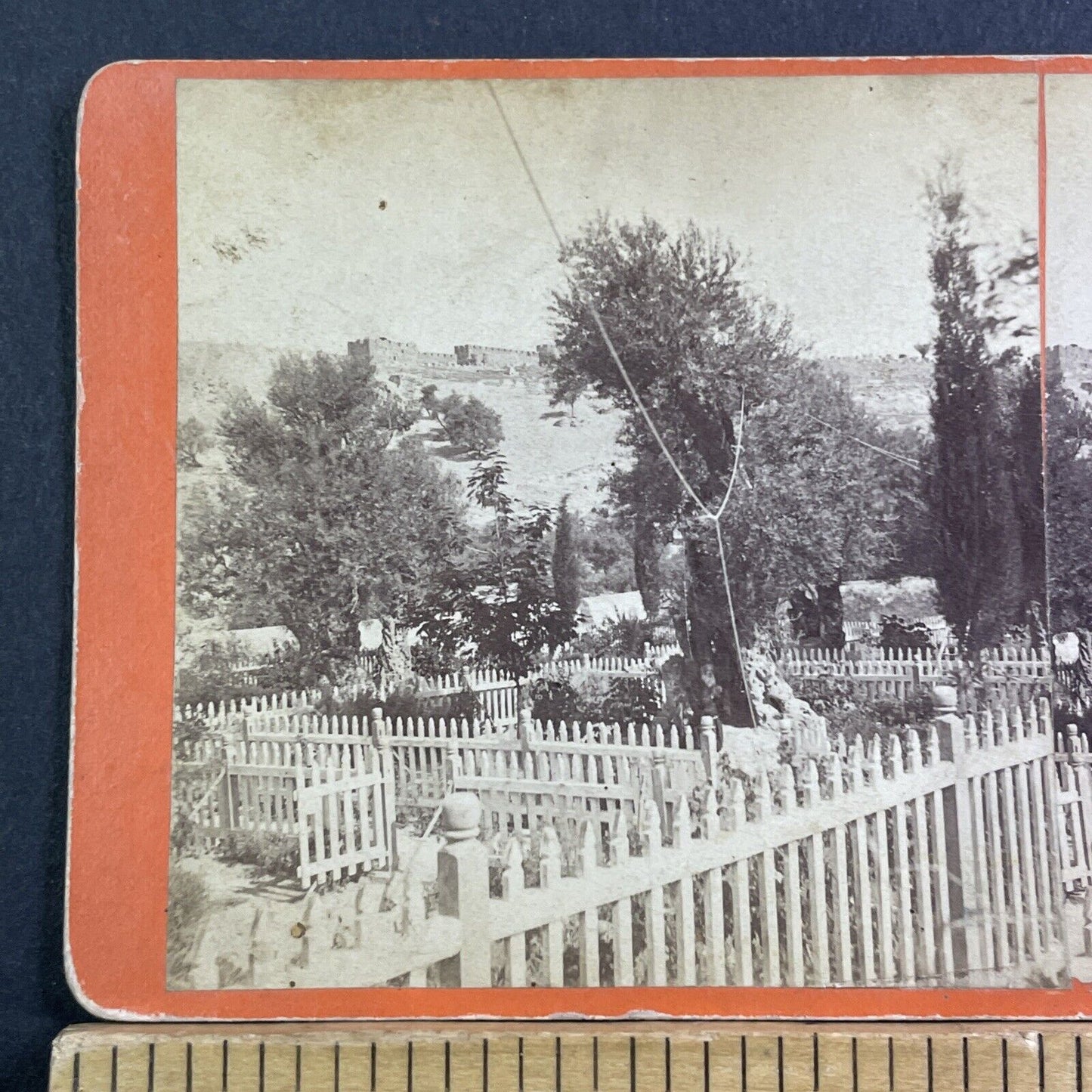 Gethsemane Jerusalem Garden Of Olives Stereoview Antique c1865 X1621