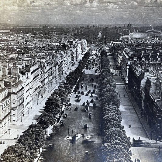 Antique 1900 Avenue Champs Elysees Paris France Stereoview Photo Card P1976