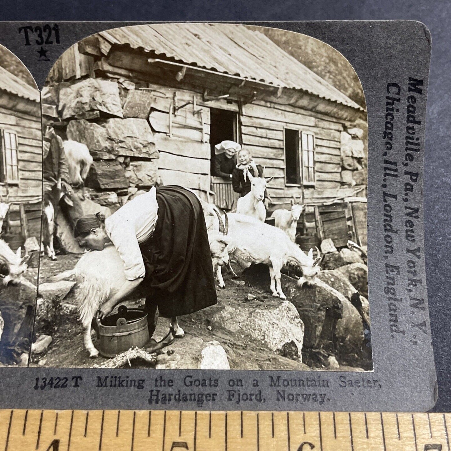 Antique 1910s Woman Milking A Goat In Northern Norway Stereoview Photo Card 5108