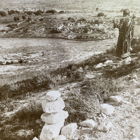 Antique 1905 Tel Sandahannah Israel Palestine Stereoview Photo Card P1734