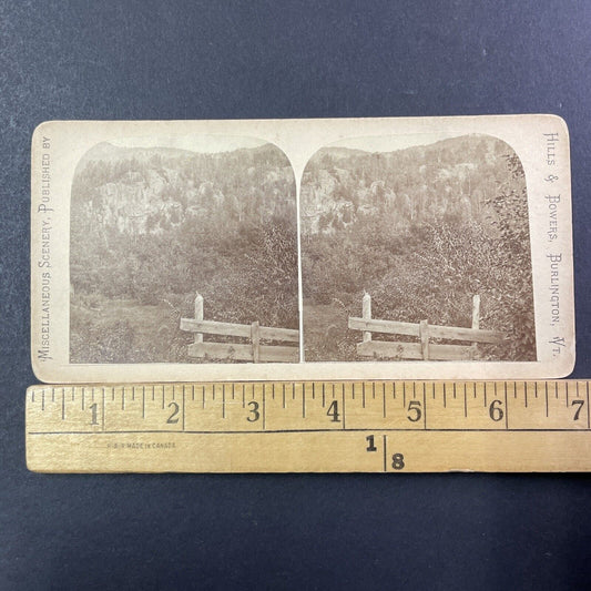 Indian Pass Lake Placid New York Stereoview Photo Card Antique c1875 X902