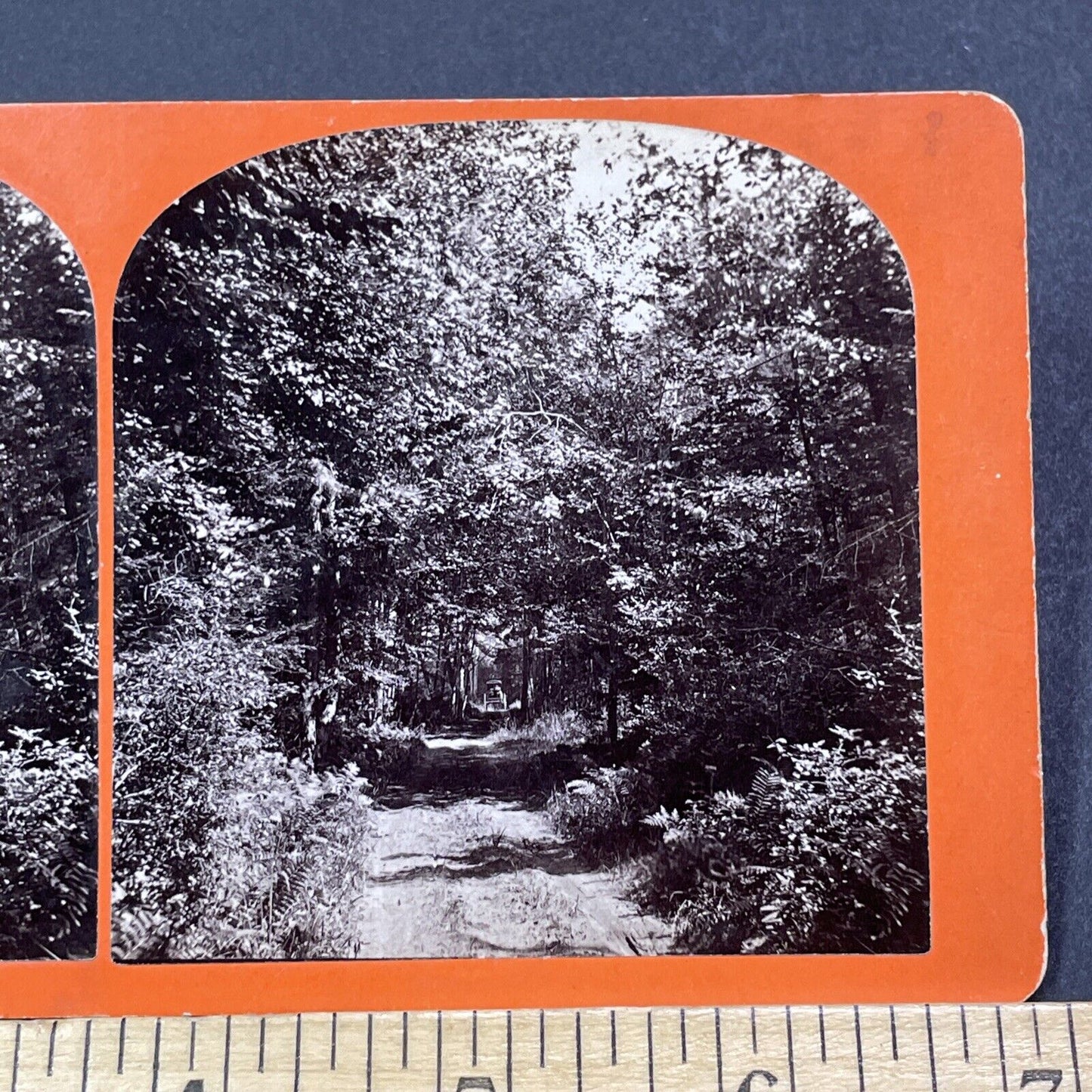 Antique 1878 Silent Way Keene New Hampshire Stereoview Photo Card V2083