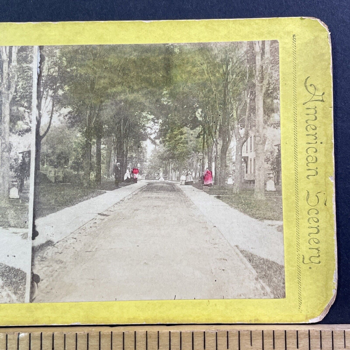 Livingston Park Road Stereoview Rochester NY Photo Card Antique c1875 X989